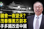 香港希望之聲