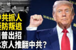 香港希望之聲