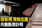 香港希望之聲
