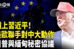 香港希望之聲