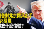 香港希望之聲