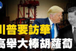 香港希望之聲
