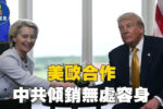 香港希望之聲