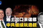 香港希望之聲