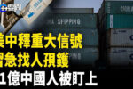香港希望之聲