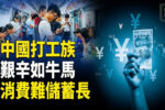 香港希望之聲