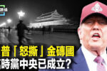 香港希望之聲