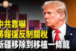 香港希望之聲