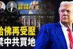 香港希望之聲