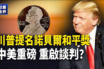 香港希望之聲