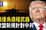 香港希望之聲