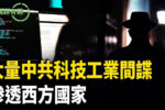 香港希望之聲