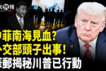 香港希望之聲
