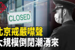 香港希望之聲
