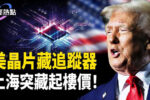 香港希望之聲