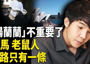 【時事解碼】深度分析:楊蘭蘭有「1.35萬億存款」嗎?開全球最大的牧場 擁有全球最多的牛馬;「楊蘭蘭」不重要了 不願做牛馬的「老鼠人」… 