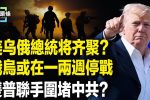 香港希望之聲