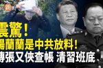 香港希望之聲