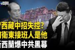 香港希望之聲