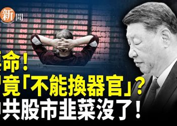 【即時新聞】中股『割韭菜』失敗 傳習病不能換器官；與中共建交 洪國白蝦出口 國內市場雙失
