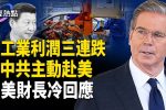 香港希望之聲
