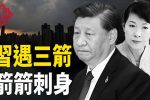 香港希望之聲