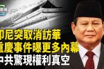 香港希望之聲