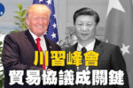 香港希望之聲