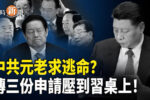 香港希望之聲