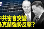 香港希望之聲