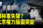 香港希望之聲