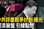 香港希望之聲
