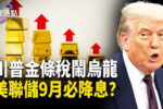 香港希望之聲