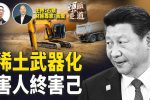 香港希望之聲