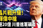 香港希望之聲