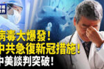 香港希望之聲