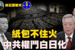 香港希望之聲