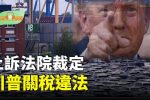 香港希望之聲