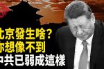 香港希望之聲