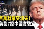 香港希望之聲