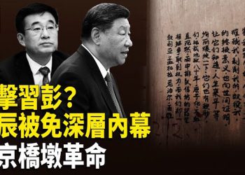 【時事解碼】深度分析：王辰被免職 重擊習近平彭麗媛？深層內幕：王辰遭惡報 難逃天譴； 尼泊爾革命與中國民眾覺醒；北京橋墩革命   