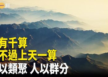 【輕鬆一刻】沒有千慮無一失的 人有千算 逃不過上天的一算；啄木鳥的巫術 物以類聚 人以群分