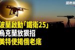 香港希望之聲