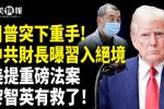香港希望之聲