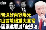 香港希望之聲
