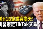 香港希望之聲