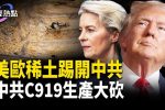 香港希望之聲