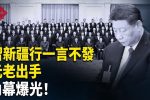 香港希望之聲