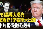 香港希望之聲