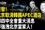 香港希望之聲